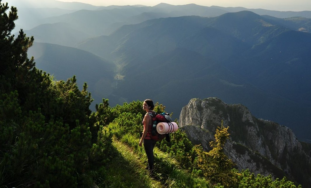 You are currently viewing A NE SCHIMBA, A PRETINDE / A FORȚA SCHIMBARE